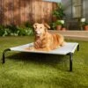 Frisco Steel-Framed Elevated Dog Bed 1 Frisco Steel-Framed Elevated Dog Bed -Frisco 112076 MAIN. AC SS1800 V1674156718