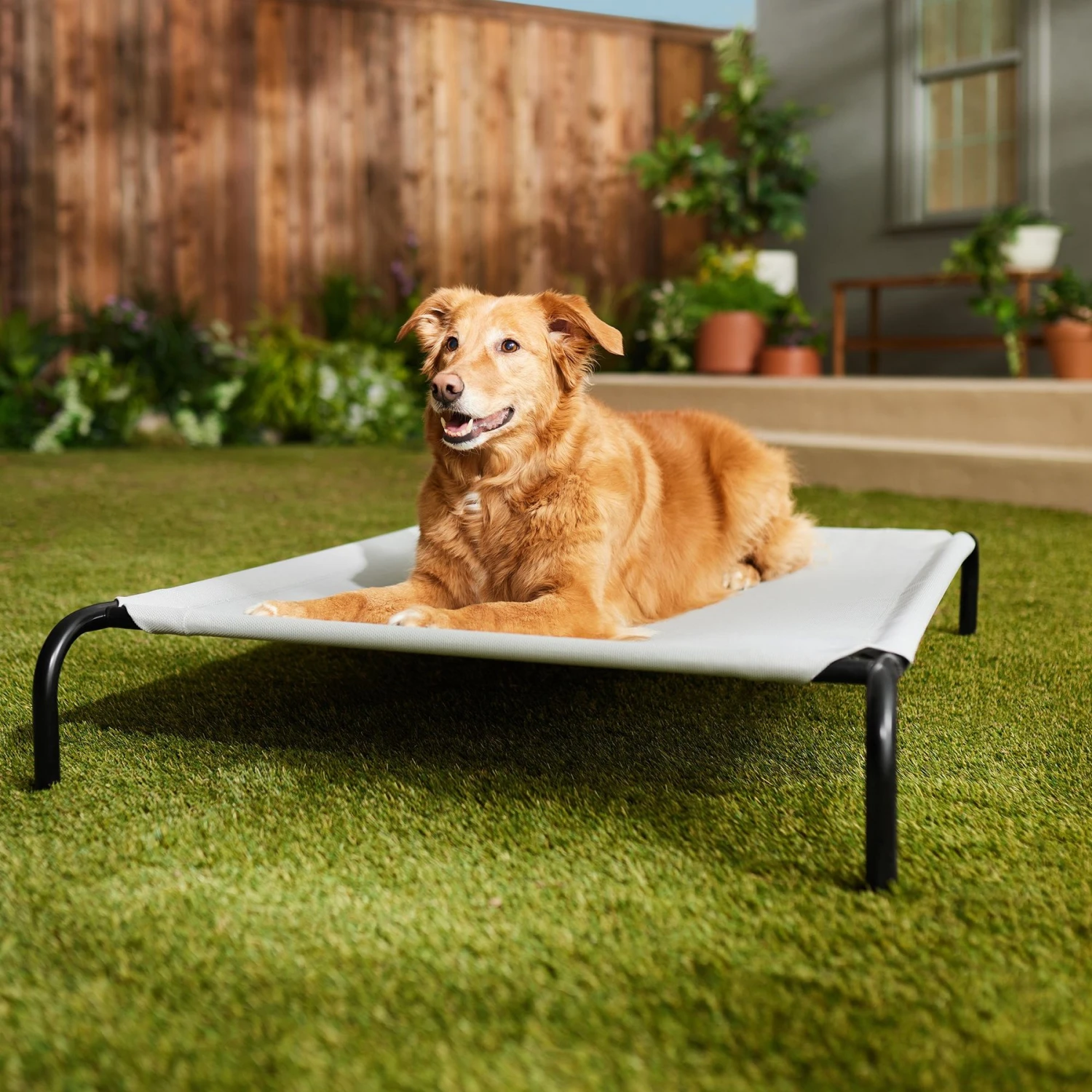 Frisco Steel-Framed Elevated Dog Bed 3 Frisco Steel-Framed Elevated Dog Bed