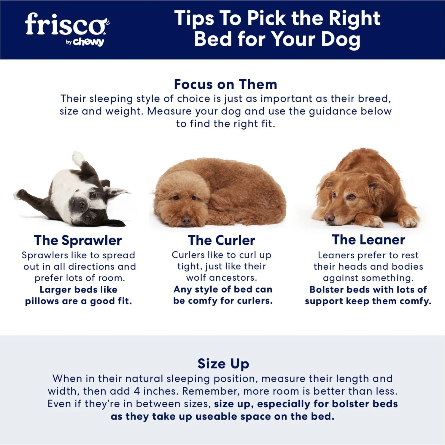 Frisco Steel-Framed Elevated Dog Bed 6 Frisco Steel-Framed Elevated Dog Bed - Image 4