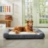 Frisco Plush Orthopedic Bolster Dog Bed W/Removable Cover 1 Frisco Plush Orthopedic Bolster Dog Bed W/Removable Cover -Frisco 129511 MAIN. AC SS1800 V1674157635