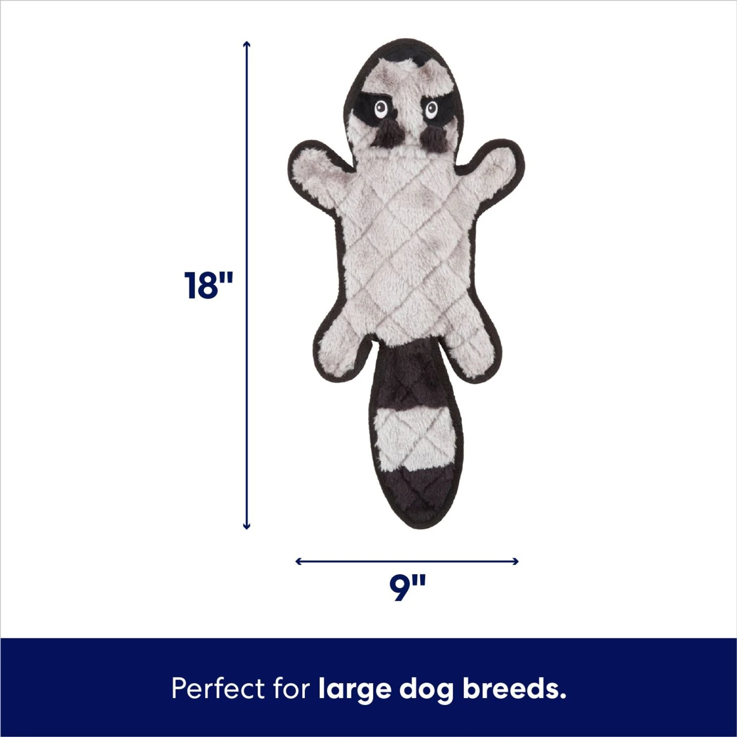 Frisco Raccoon Stuffing-Free Flat Plush Squeaky Dog Toy 4 Frisco Raccoon Stuffing-Free Flat Plush Squeaky Dog Toy - Image 2