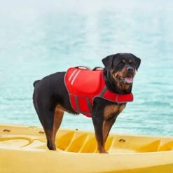 Frisco Neoprene Dog Life Jacket 18 Frisco Neoprene Dog Life Jacket -Frisco 152465 PT7. AC SS1800 V1631058734