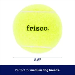 Frisco Fetch Squeaky Tennis Ball Dog Toy -Frisco 152803 PT1. AC SS1800 V1691776636