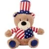 Frisco American Flag Bear Plush Squeaky Dog Toy -Frisco 157187 Main. AC SS1800 V1559764050