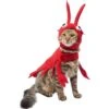 Frisco Red Lobster Dog & Cat Costume -Frisco 158723 MAIN. AC SS1800 V1659023206