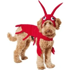 Frisco Red Lobster Dog & Cat Costume -Frisco 158723 PT2. AC SS1800 V1659023725