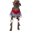 Frisco Front Walking Cowboy Dog & Cat Costume 2 Frisco Front Walking Cowboy Dog & Cat Costume -Frisco 158842 Main. AC SS1800 V1564408627