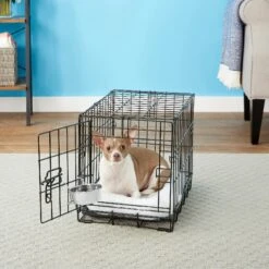 Frisco Stainless Steel Kennel Bowl Dog & Cat Bowl 8 Frisco Stainless Steel Kennel Bowl Dog & Cat Bowl -Frisco 159871 PT3. AC SS1800 V1570543067