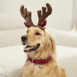 Frisco Holiday Antler Headband & Bell Collar Dog & Cat Costume -Frisco 160658 PT4. AC SS1800 V1568818037