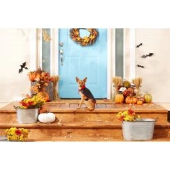 Frisco Vampire Cape Dog & Cat Costume 10 Frisco Vampire Cape Dog & Cat Costume -Frisco 160793 PT3. AC SS1800 V1567176564