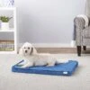 Frisco Quilted Orthopedic Pillow Cat & Dog Bed W/Removable Cover 1 Frisco Quilted Orthopedic Pillow Cat & Dog Bed W/Removable Cover -Frisco 165196 Main. AC SS1800 V1568726264