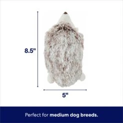 Frisco Hedgehog Plush Squeaky Dog Toy -Frisco 174678 PT1. AC SS1800 V1695671000