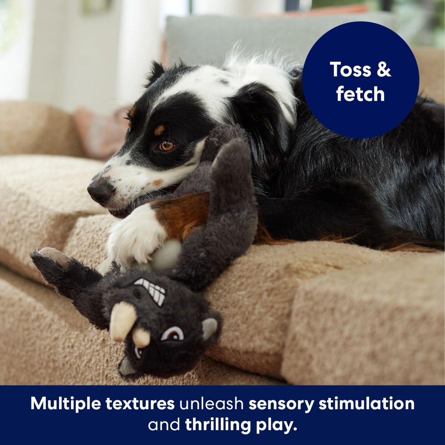 Frisco Rhino Muscle Plush Squeaky Dog Toy 6 Frisco Rhino Muscle Plush Squeaky Dog Toy - Image 4