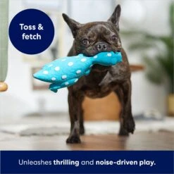 Frisco Dinosaur Latex Squeaky Dog Toy 10 Frisco Dinosaur Latex Squeaky Dog Toy -Frisco 174770 PT3. AC SS1800 V1686579138