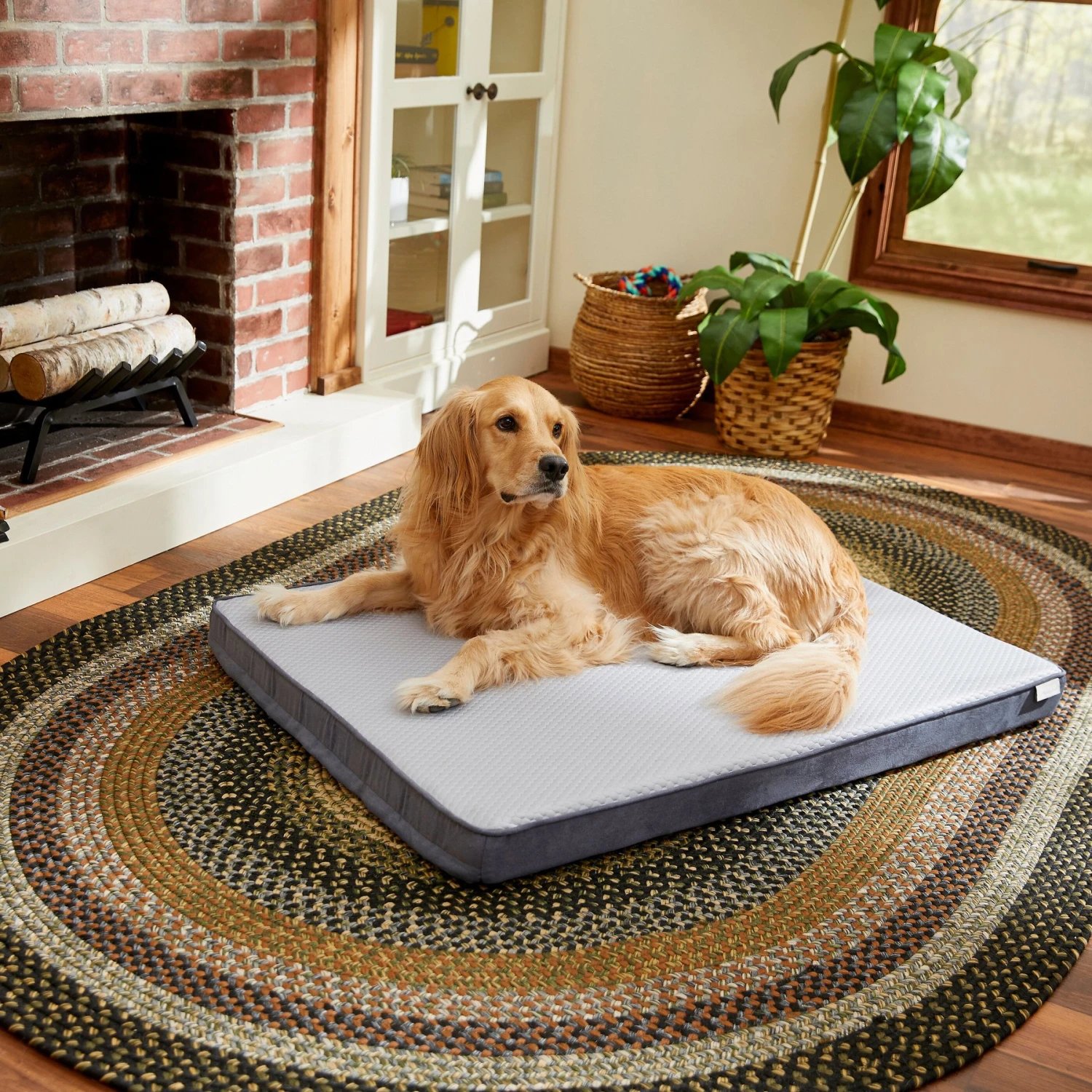 Frisco Cooling Orthopedic Pillow Dog Bed W/Removable Cover 3 Frisco Cooling Orthopedic Pillow Dog Bed W/Removable Cover