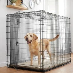 Frisco 20 Frisco Heavy Duty Single Door Wire Dog Crate