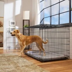 Frisco 22 Frisco Heavy Duty Fold & Carry Double Door Collapsible Wire Dog Crate & Mat Kit