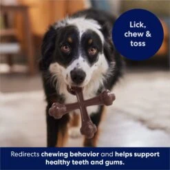 Frisco Bacon Flavor Tough Nylon Dog Chew Toy -Frisco 213430 PT5. AC SS1800 V1691783968