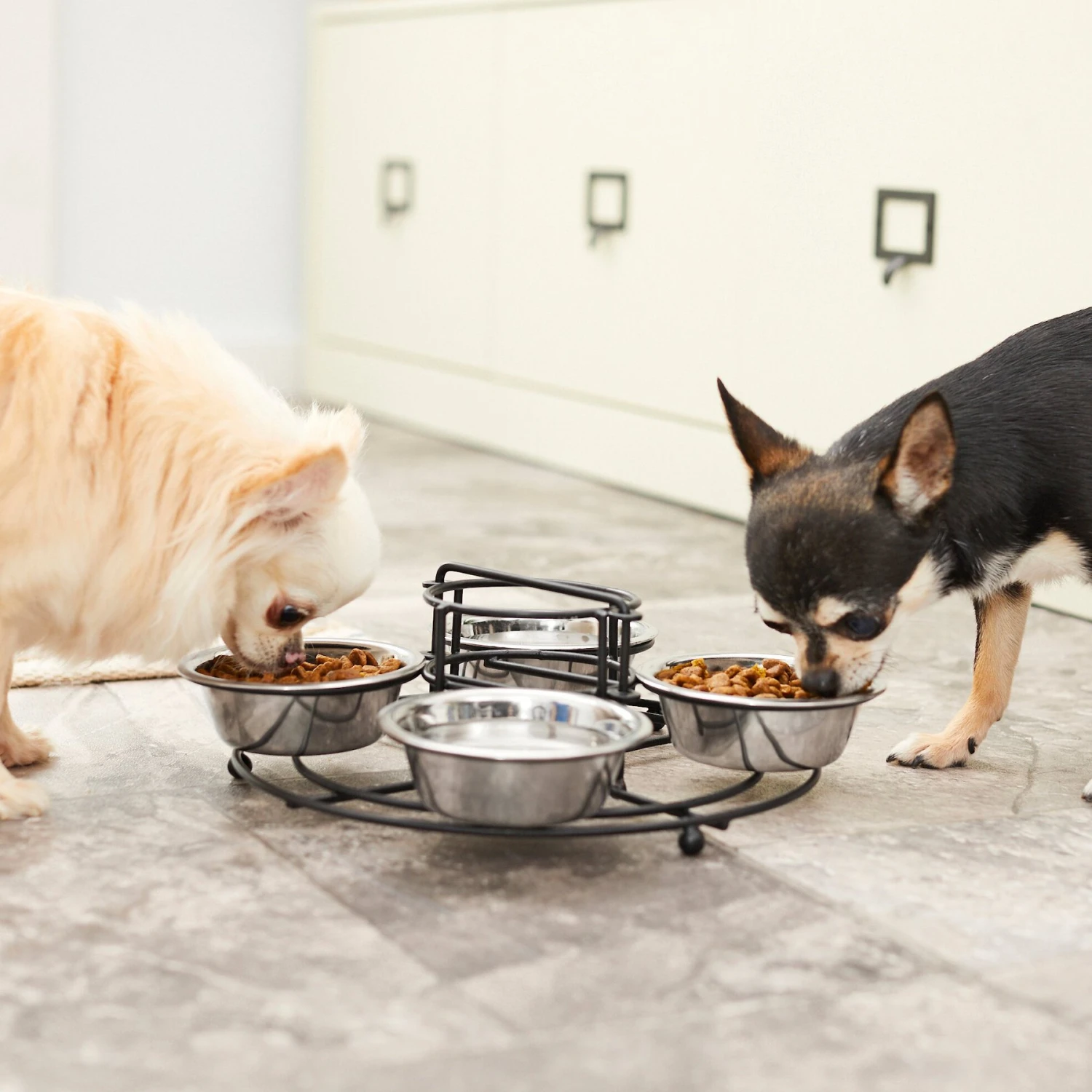 Frisco Multi Pet Feeding 4-Bowls Stainless Steel Dog & Cat Bowls, 0.5 Cup 9 Frisco Multi Pet Feeding 4-Bowls Stainless Steel Dog & Cat Bowls, 0.5 Cup - Image 7