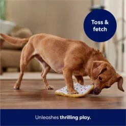 Frisco Frosted Pastry Stuffing-Free Flat Plush Squeaky Dog Toy 12 Frisco Frosted Pastry Stuffing-Free Flat Plush Squeaky Dog Toy -Frisco 213812 PT5. AC SS1800 V1686579088