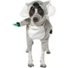 Frisco Front Walking Koala Dog & Cat Costume -Frisco 215546 MAIN. AC SS1800 V1595980873
