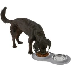 Frisco Double Stainless Steel Pet Bowl With Silicone Mat 15 Frisco Double Stainless Steel Pet Bowl With Silicone Mat -Frisco 215986 PT5. AC SS1800 V1605652436