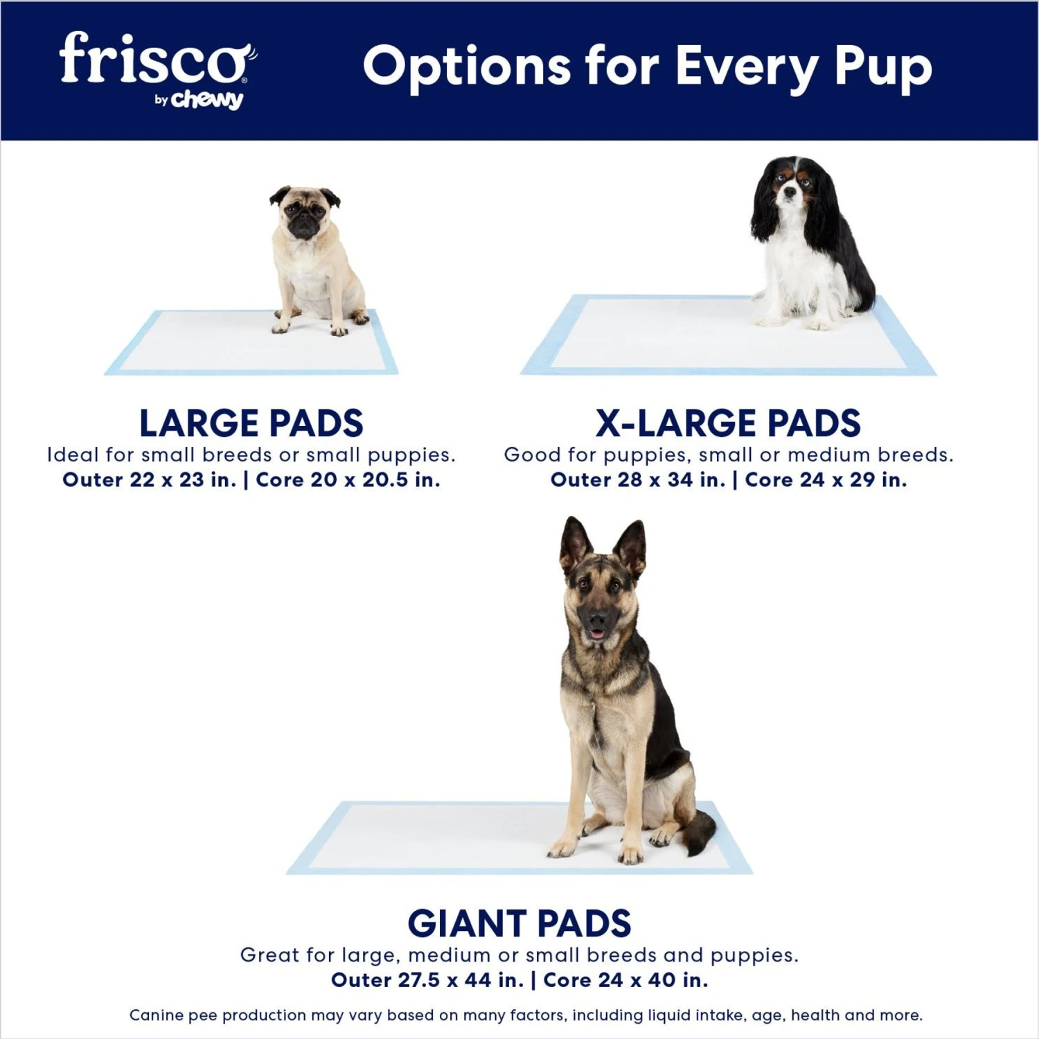 Frisco Non-Skid Ultra Premium Dog Training & Potty Pads 6 Frisco Non-Skid Ultra Premium Dog Training & Potty Pads - Image 4