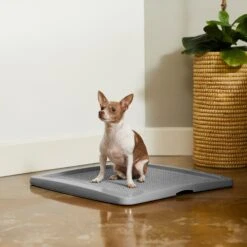 Frisco Training Pad Holder 12 Frisco Training Pad Holder -Frisco 227474 PT6. AC SS1800 V1604701643