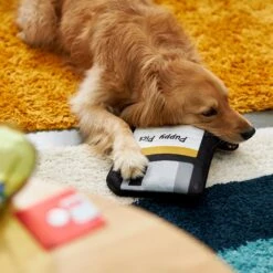 Frisco Retro Floppy Disc Ballistic Nylon Plush Squeaky Dog Toy 7 Frisco Retro Floppy Disc Ballistic Nylon Plush Squeaky Dog Toy -Frisco 230304 PT3. AC SS1800 V1602639753