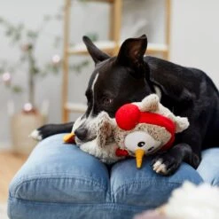 Frisco Holiday Owl Plush Squeaky Dog Toy -Frisco 233160 PT2. AC SS1800 V1601304724