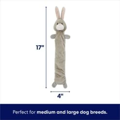 Frisco Bunny Bungee Plush Squeaky Dog Toy 9 Frisco Bunny Bungee Plush Squeaky Dog Toy -Frisco 233612 PT1. AC SS1800 V1691784031