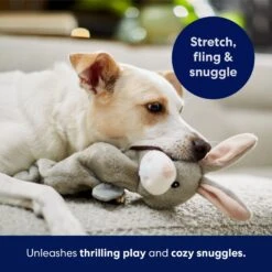 Frisco Bunny Bungee Plush Squeaky Dog Toy 12 Frisco Bunny Bungee Plush Squeaky Dog Toy -Frisco 233612 PT5. AC SS1800 V1691783971