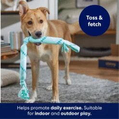 Frisco Double Fun Rope Crinkle Fetch Dog Toy 10 Frisco Double Fun Rope Crinkle Fetch Dog Toy -Frisco 242137 PT3. AC SS1800 V1695242178