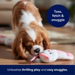 Frisco Bunny Plush Squeaky Puppy Toy 10 Frisco Bunny Plush Squeaky Puppy Toy -Frisco 245916 PT3. AC SS1800 V1695760959