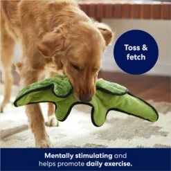 Frisco Alligator Stuffing-Free Flat Plush Squeaky Dog Toy 8 Frisco Alligator Stuffing-Free Flat Plush Squeaky Dog Toy -Frisco 245943 PT2. AC SS1800 V1678723898