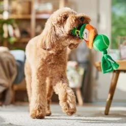 Frisco St. Patrick's Leprechaun Plush With Tennis Ball Squeaky Dog Toy 10 Frisco St. Patrick's Leprechaun Plush With Tennis Ball Squeaky Dog Toy -Frisco 249472 PT4. AC SS1800 V1700163040