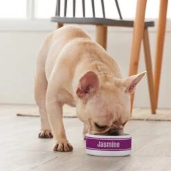 Frisco Preppy Stripes Ceramic Personalized Dog & Cat Bowl 9 Frisco Preppy Stripes Ceramic Personalized Dog & Cat Bowl -Frisco 250837 PT3. AC SS1800 V1610764911