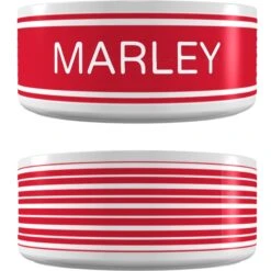 Frisco 6 Frisco Preppy Stripes Ceramic Personalized Dog Bowl
