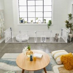 Frisco 6-Panel Plastic Exercise Dog Playpen, Light Gray -Frisco 252045 PT6. AC SS1800 V1611090517