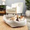 Frisco Rectangular Personalized Bolster Dog Bed W/Removable Cover, Beige, Medium -Frisco 252613 MAIN. AC SS1800 V1604499149