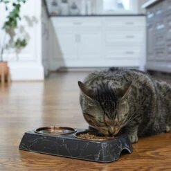 Frisco Copper Stainless Steel Double Dog & Cat Bowls With Black Marble Stand 12 Frisco Copper Stainless Steel Double Dog & Cat Bowls With Black Marble Stand -Frisco 253058 PT2. AC SS1800 V1616594213