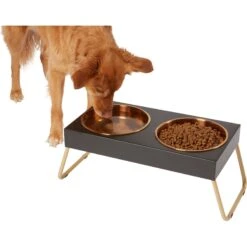 Frisco 14 Frisco Copper Stainless Steel Elevated Foldable Double Dog & Cat Bowls