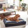 Frisco Faux Felt Zipper Pillow Cat & Dog Bed 2 Frisco Faux Felt Zipper Pillow Cat & Dog Bed -Frisco 255158 MAIN. AC SS1800 V1616011383