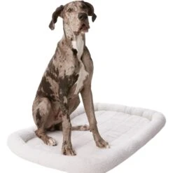 Frisco Heavy Duty Single Door Wire Dog Crate & Frisco Quilted Dog Crate Mat -Frisco 255633 PT4. AC SS1800 V1604147207