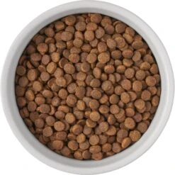 Frisco Bones Non-skid Ceramic Dog & Cat Bowl 13 Frisco Bones Non-skid Ceramic Dog & Cat Bowl -Frisco 256074 PT5. AC SS1800 V1615312010