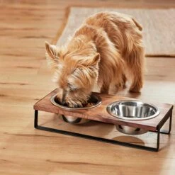Frisco Wood Elevated Non-Skid Stainless Steel Double Diner Dog & Cat Bowl 11 Frisco Wood Elevated Non-Skid Stainless Steel Double Diner Dog & Cat Bowl -Frisco 257143 PT3. AC SS1800 V1615987292