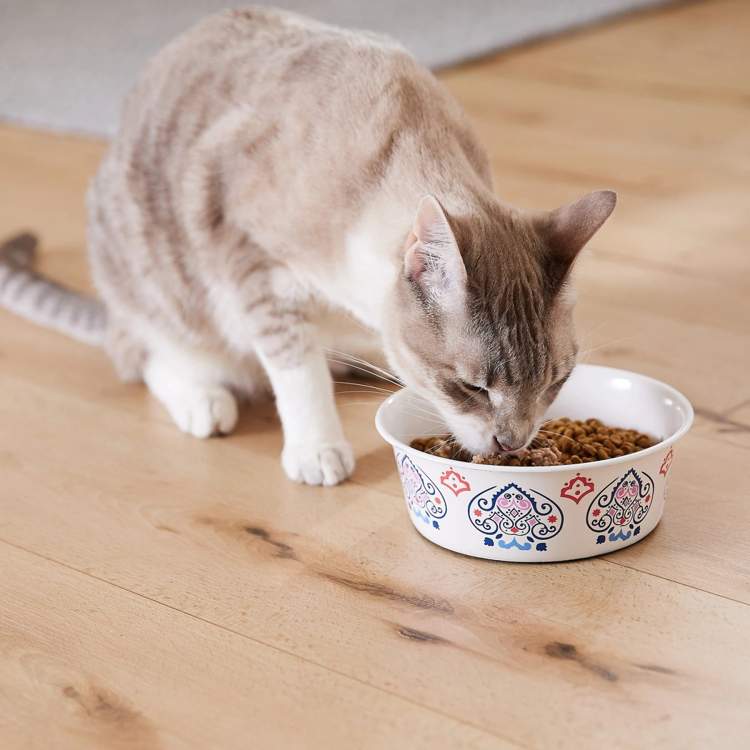 Frisco Bohemian Non-Skid Stainless Steel Dog & Cat Bowl 10 Frisco Bohemian Non-Skid Stainless Steel Dog & Cat Bowl - Image 8