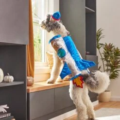 Frisco Rocket Ship Dog & Cat Costume -Frisco 260904 PT8. AC SS1800 V1624400386