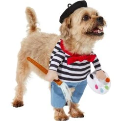 Frisco Front Walking French Artist Dog & Cat Costume 13 Frisco Front Walking French Artist Dog & Cat Costume -Frisco 260956 PT3. AC SS1800 V1624453662