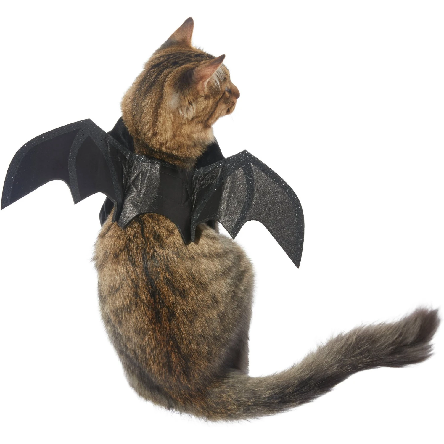 Frisco Bat Wings Dog & Cat Costume 3 Frisco Bat Wings Dog & Cat Costume